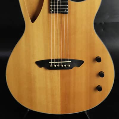 Aria Custom Shop NXP-03 エレアコ Aria NXP-03 - Free Shipping* | Reverb