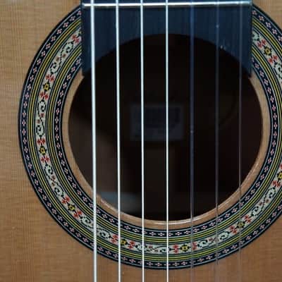 Giannini Asturias 7 String Classical Guitar with - Handcrafted in Brazil - GNC4/7 image 5