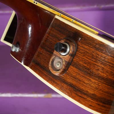 1980s Washburn Festival Series Tanglewood 12 12-String Jumbo Guitar (VIDEO! Fresh Work, Ready) image 11