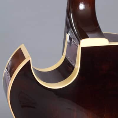 Heritage H-575 Custom (1997) image 20