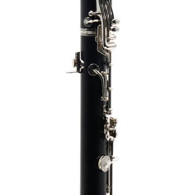 Buffet Crampon R13 Professional Bb Clarinet in Grenadilla SN 542908 image 12