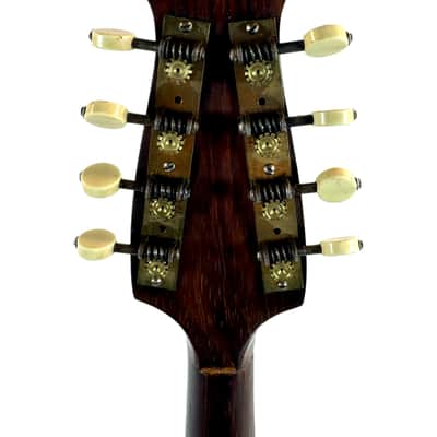 Neapolitan Mandolin G. Kasermann Style 1920's image 12