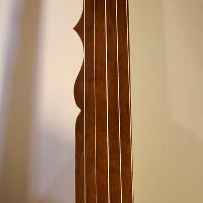 Flesher Minstrel Banjo Kit Built image 7