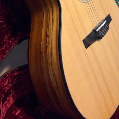Taylor 114ce-N LTD Ovangkol 2019 - 2020 - Natural image 10