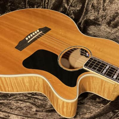 Guild F65ce Westerly Rhode Island Limited Top of the Line Model image 11