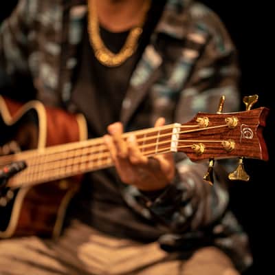 Ortega D8CE-4 Deep Series 8 Spruce Top Mahogany Neck Medium Scale 4-String Acoustic-Electric Bass Guitar image 19