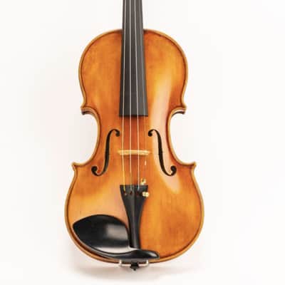 D Z Strad Model 800 Viola with BAM Case and 2 Bows: Incredible Sound, Unmatched Quality image 1