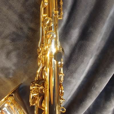 Selmer  Giardinelli GTS-12 Series - MINT - Ready for Owner image 11