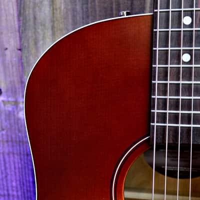 Seagull Entourage Dreadnought - Autumn Burst image 5
