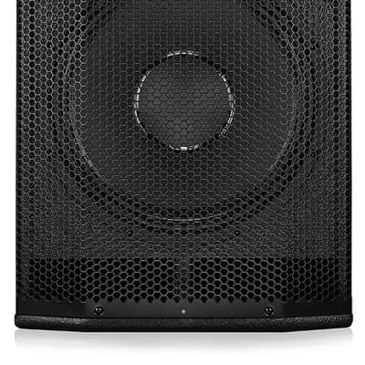 Singtronic Professional 1000W Power Amp Subwoofer Speaker image 2
