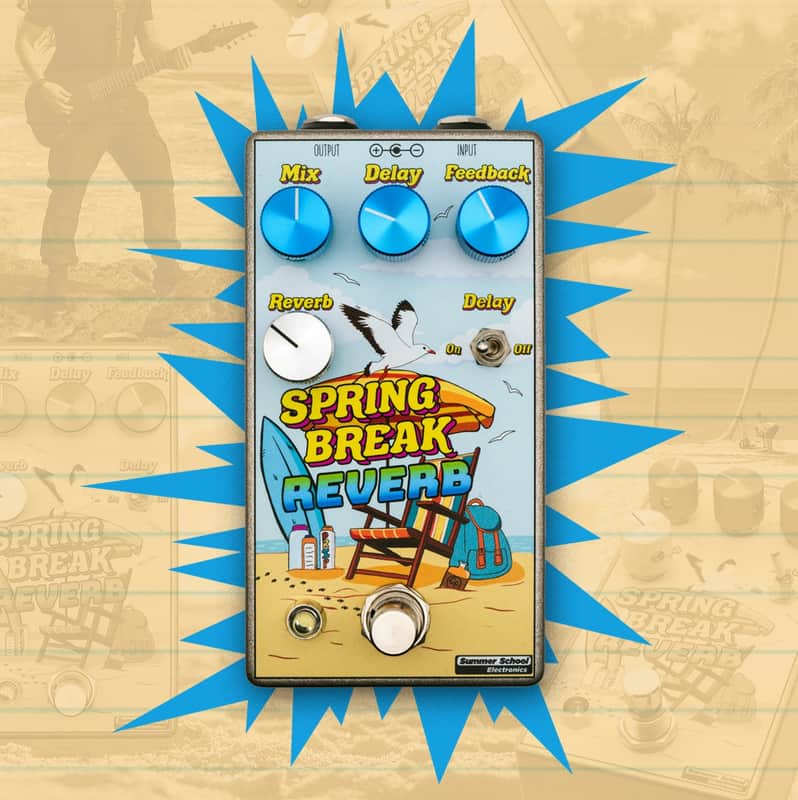 Summer School Electronics Spring Break Reverb image 1