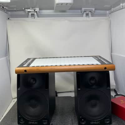 Roger Linn Linnstrument 128 w/ zipper case image 3