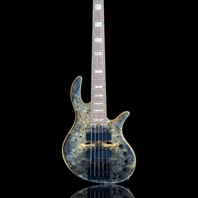 Elrick EVO Gold 5 String Buckeye Burl 2024 - Natural image 1