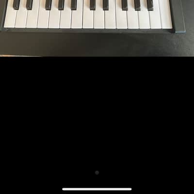 Arturia MiniLab MkII Inverted Edition 25-Key MIDI Controller 2019 - 2021 - black with brown side panels