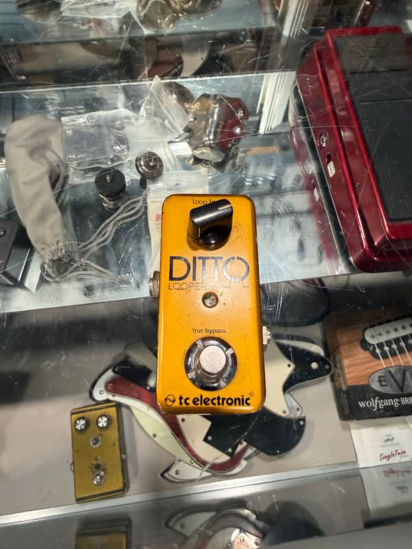TC Electronic Ditto Looper Limited Edition | Reverb
