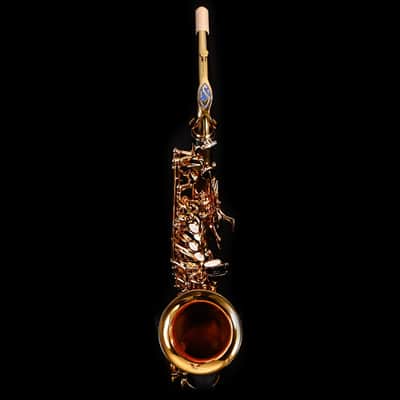 Selmer Paris 82SIGF HSP Professional Alto Saxophone, Vintage Matte image 2