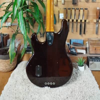 Music Man StingRay Walnut - 1979 image 5