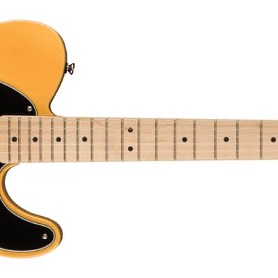 Squier Affinity Series Telecaster Maple FB Black Pickguard Butterscotch Blonde image 1