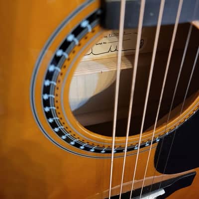Palmer PD206 LB Dreadnought Acoustic Guitar image 3