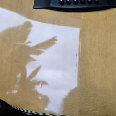 Vintage Fender F-15 1972 - 1978 - Natural - Tortoiseshell Pickguard image 7