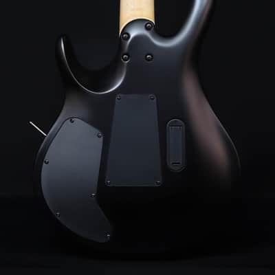 PRS SE Chleo Herman Li Signature Model, Mantis Burst image 3