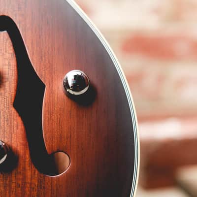 Maton BB1200JH Josh Homme Signature Tobacco Sunburst image 7