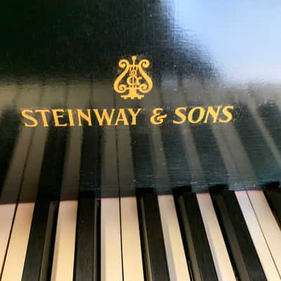 Steinway B 1904 - Black image 3
