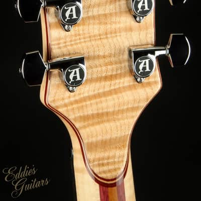 Alembic Further 6 Buckeye Burl - Resin Top image 8