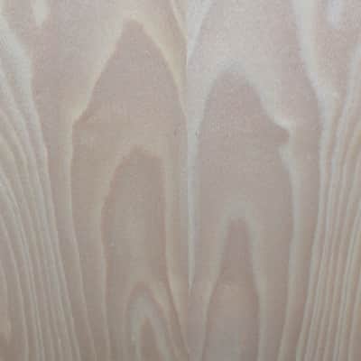 Kremona Rosa Luna RL Beech Wood Flemanco / Classical Guitar image 10