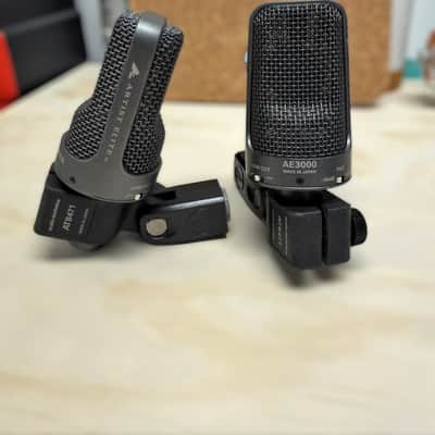 Audio-Technica AE3000 Large Diaphragm Condenser Mics (PAIR) image 1