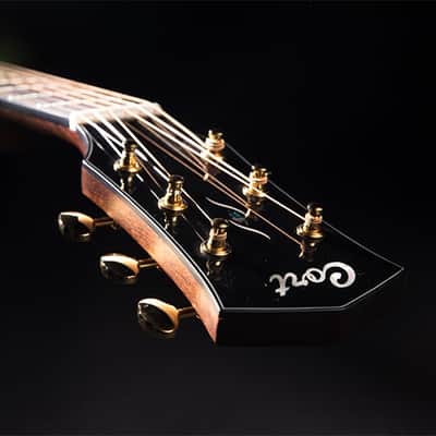 Cort All Solid Woods Gold Series A6 Auditorium w/ Fishman Flex Blend Electronics, Case image 15