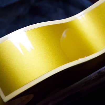 Epiphone Hollow Body ES-295 - GOLD image 18