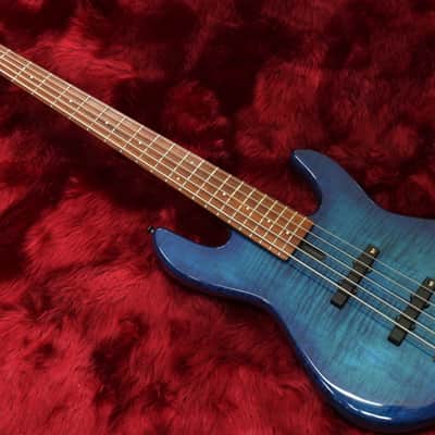 Fodera NYC Empire5 Graphite neck Lanepoor PU 4.82kg image 2