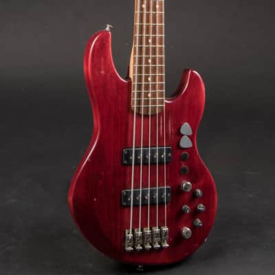 Alien Audio PP 5-String w/HSC image 1