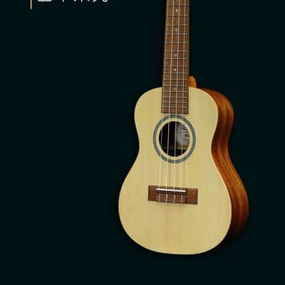 PukanaLa Model PU-CAC Solid Spruce top Series Concert Size Ukulele image 2