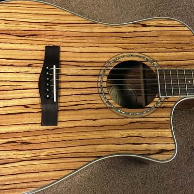Fender CD-220CE All Zebrano 6-string Acoustic-Electric Guitar, Mahogany, Fishman image 2