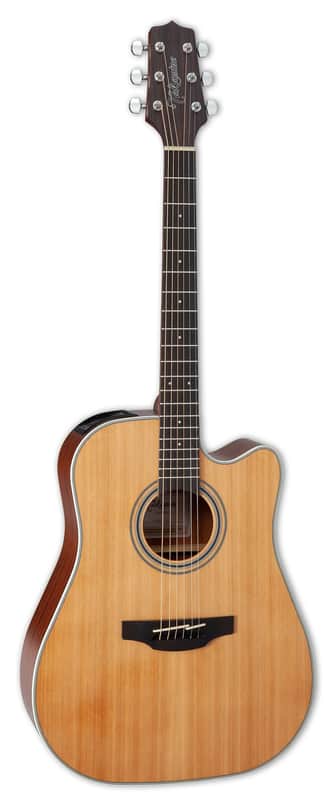 Takamine GD20CE NS Natural Satin image 1
