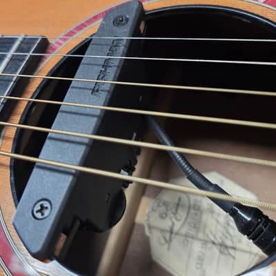 Taylor Custom Shop Stephen King Signed Cujo 14 AAA 400 Year Old Flame Walnut Grand Auditorium USA 1997 American Presentation Acoustic Guitar image 11