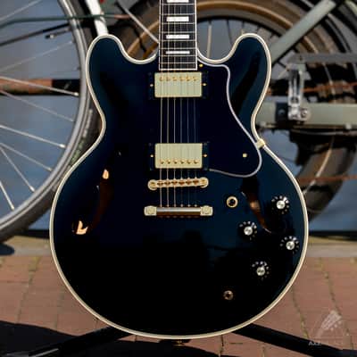 FGN Masterfield Hollow-Body MSA-HP-C image 2