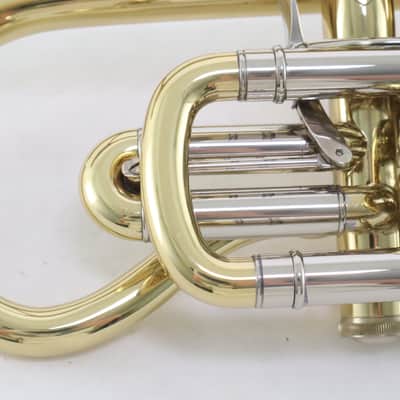Bach Model 184 Stradivarius Shepherd's Crook Cornet SN 773603 UNUSED image 19