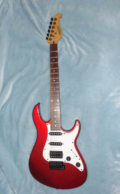 Chatting Bird by Caparison HSS -Guitars4cancer- Flame Maple Neck