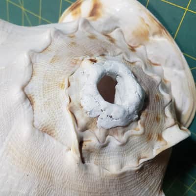 Handmade Conch Shell #1 Horn w/Sugru Mouthpiece Rim Made By James's Vintage Workshop! image 5