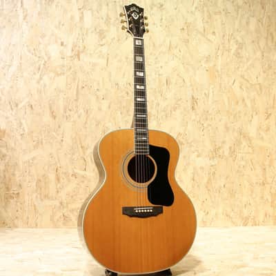 Guild F 50 R 1975 image 3
