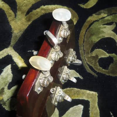 Gretsch Tennessean Chet Atkins 1969 Burgundy image 12
