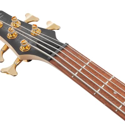 Ibanez SR Standard 5 String Electric Bass - Black Ice Frozen Matte (SR305EDXBZM) image 7