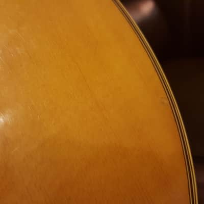 Vintage Alvarez 5022 Handmade In Japan Aged Top Acoustic Dreadnought (Martin Copy) Soft V-Neck image 18