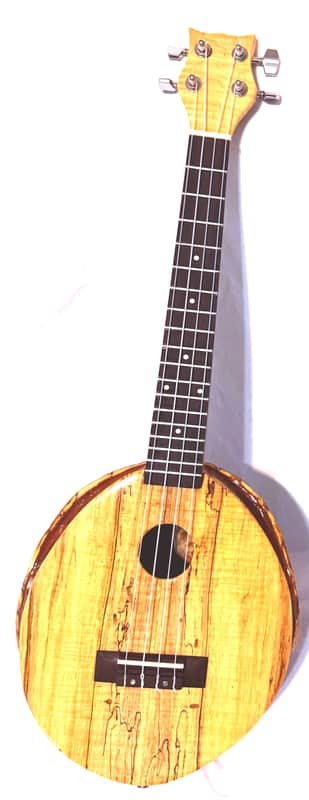 Turtle Shell Tenor Ukulele image 1