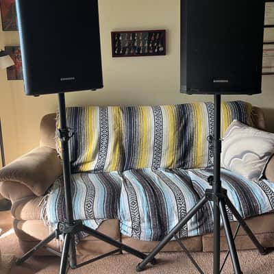 Samson PA Speaker Pair 2019 image 3