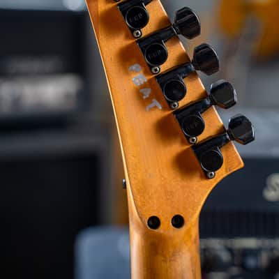 ESP Custom image 4