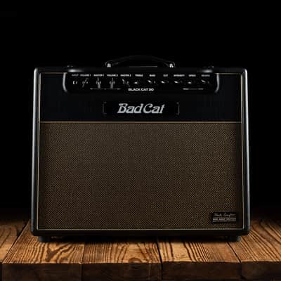 Bad Cat Mod Shop Mark Sampson Black Cat 30 Watt 1x12" Guitar Combo - Free Shipping image 1